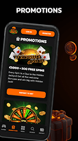 promotionIcon